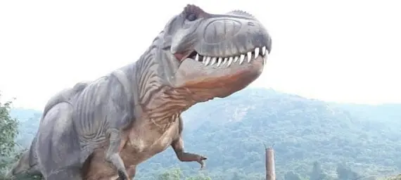 Dinosaur Park sightseeing cab package